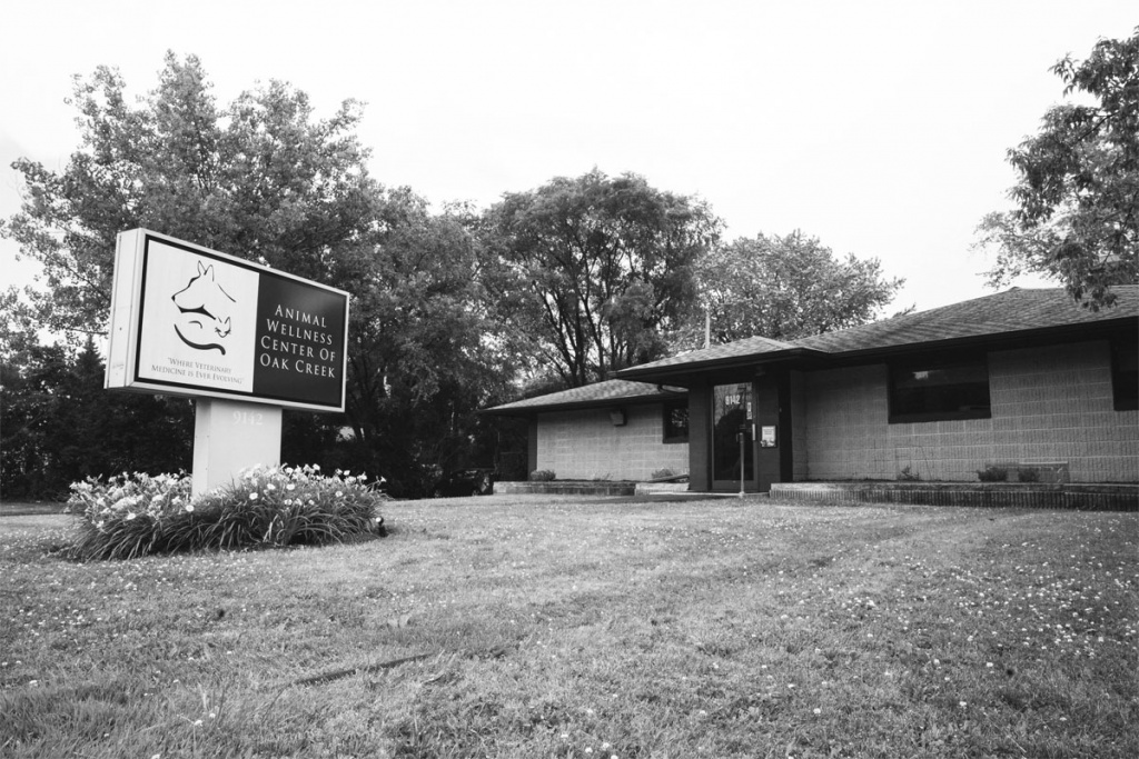 Oak Creek Virtual Tour Southeast WI Animal Wellness Center
